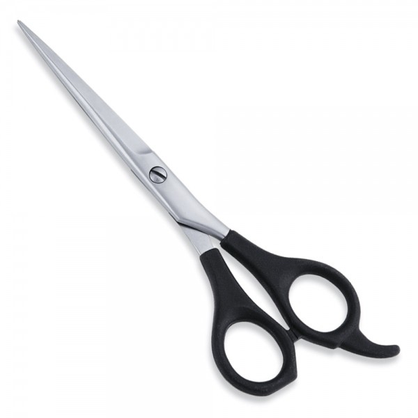 Economy Scissor